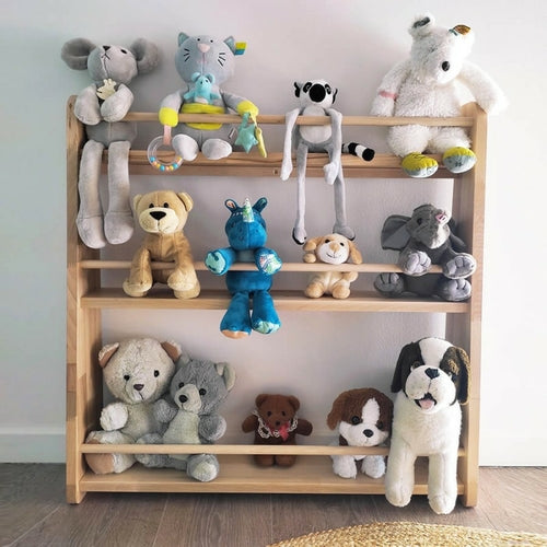 The Montessori wooden library for children